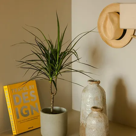 Kerami Kefalonia Вилла Afrato